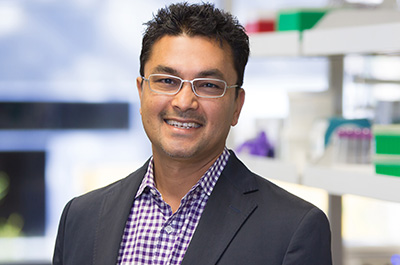 Ashraf Amanullah, Ph.D.