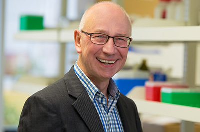 David J. King, Ph.D.